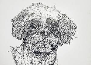 brutusthumb_1610481807.jpg