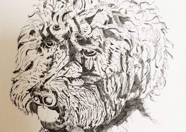 gigithumbportrait_1583360045.jpg