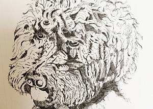 gigithumbportrait_1583360045.jpg